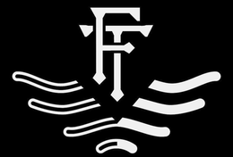 FT trademark