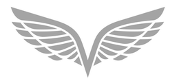 V trademark