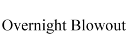 OVERNIGHT BLOWOUT trademark