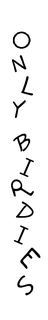 ONLY BIRDIES trademark
