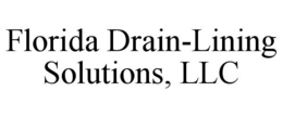 FLORIDA DRAIN-LINING SOLUTIONS, LLC trademark