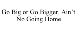 GO BIG OR GO BIGGER, AIN'T NO GOING HOME trademark