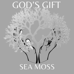 GOD'S GIFT SEA MOSS trademark