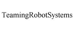 TEAMINGROBOTSYSTEMS trademark