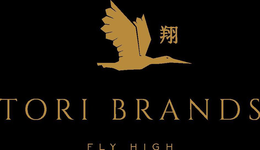 TORI BRANDS FLY HIGH trademark
