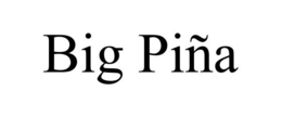 BIG PIÑA trademark