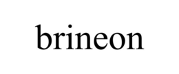 BRINEON trademark