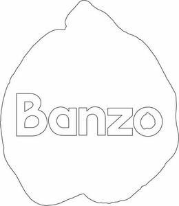 BANZO trademark