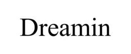 DREAMIN trademark