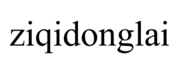 ZIQIDONGLAI trademark
