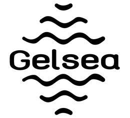 GELSEA trademark