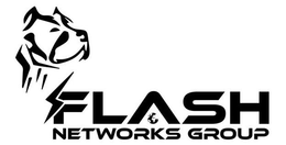 FLASH NETWORKS GROUP trademark