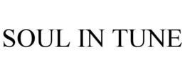 SOUL IN TUNE trademark