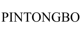 PINTONGBO trademark