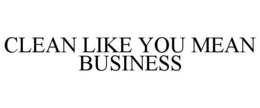 CLEAN LIKE YOU MEAN BUSINESS trademark