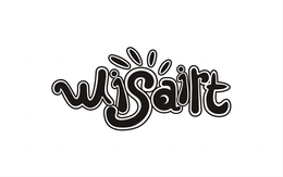 WISAIRT trademark