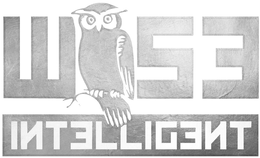 WISE INTELLIGENT trademark