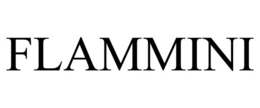 FLAMMINI trademark