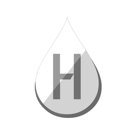 H trademark
