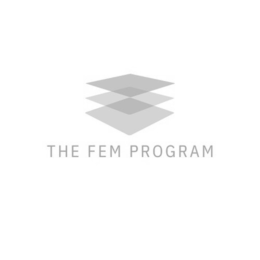 THE FEM PROGRAM trademark
