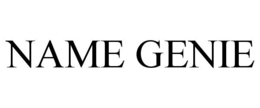 NAME GENIE trademark