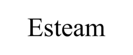 ESTEAM trademark