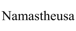 NAMASTHEUSA trademark