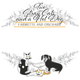 TWO STRAY CATS AND A HOT DOG FARMETTE AND ORCHARD trademark