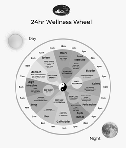 24HR WELLNESS WHEEL SILKIE DAY NIGHT 12PM 1PM 2PM 3PM 4PM 5PM 6PM 7PM 8PM 9PM 10PM 11PM HEART BALANCED LUNCH REST & DIGEST SHORT WALK SMALL INTESTINE HYDRATE POWER NAP WORK OR STUDY FRUIT SNACK BLADDER DRINK FLUIDS LIQUID WASTE COLLECTED & DISCHARGED KIDNEY FLUID REGULATION LIGHT BALANCED DINNER REST & DIGEST SHORT WALK MENTAL RELAXATION SHOWER SOCIALIZE/BONDING SOOTHING MUSIC PERICARDIUM TRIPLE BURNER PHYSICAL RELAXATION SEX WIND DOWN GET SLEEPY GALLBLADDER DEEP SLEEP CELLULAR REPAIR & REGENERATION LIVER DEEP SLEEP BLOOD DETOXIFICATION LUNG DEEP SLEEP MUSCUS REMOVAL SUPPORT BRAIN & MEMORY LARGE INTESTINE WAKE SEX OR EXCERCISE DRINK WARM FLUIDS POOP STOMACH WARM BALANCED BREAKFAST REST & DIGEST 15-30 MIN WALK OR GENTLE EXCERCISE SPLEEN DIGESTED BREAKFAST CONVERTS TO ENERGY HYDRATE WORK OR STUDY SNACK NUTRIENT ABSORPTION WATER REGULATION SELF CARE SERENITY DEEP SLEEP RESTORATION DEEP SLEEP DETOX DIGESTION ENERGY trademark
