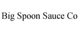 BIG SPOON SAUCE CO trademark