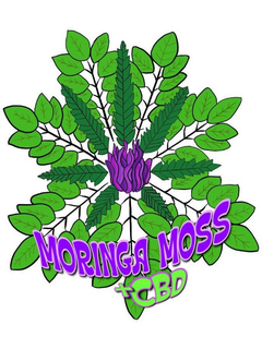 MORINGA MOSS +CBD trademark