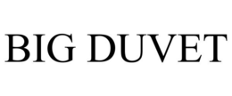 BIG DUVET trademark