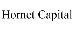 HORNET CAPITAL trademark