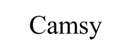 CAMSY trademark