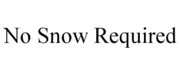NO SNOW REQUIRED trademark
