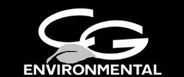 CG ENVIRONMENTAL trademark