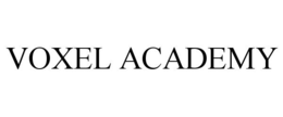 VOXEL ACADEMY trademark