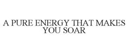 A PURE ENERGY THAT MAKES YOU SOAR trademark