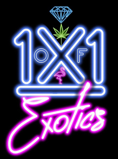 1X1 OF EXOTICS trademark