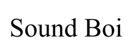SOUND BOI trademark