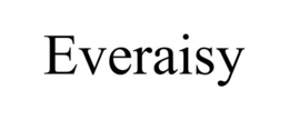 EVERAISY trademark