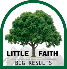 LITTLE FAITH BIG RESULTS trademark