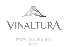VINALTURA ESPUMA BAJÍO ROSÉ trademark