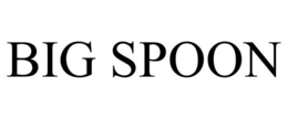 BIG SPOON trademark