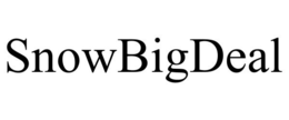 SNOWBIGDEAL trademark