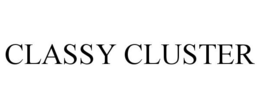 CLASSY CLUSTER trademark