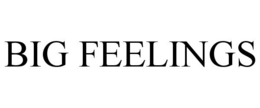 BIG FEELINGS trademark