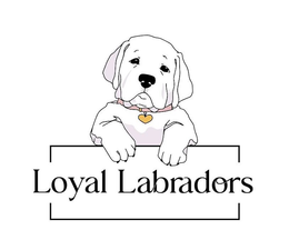 LOYAL LABRADORS trademark