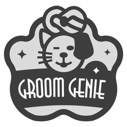 GROOM GENIE trademark