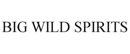 BIG WILD SPIRITS trademark
